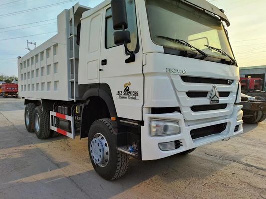 Sinotruk/HOWO/Shacman/Foton Tractor/Aanhangwagen/Kipper/Kipper/Kipper